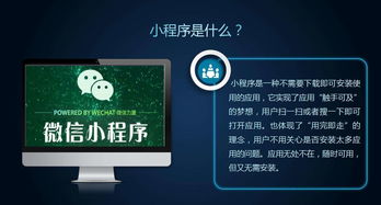 企业官网建设 电脑 手机 小程序 完美解决方案,成本非常低