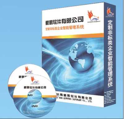 电脑软件开发定制_生产管理软件开发定制_开发济南