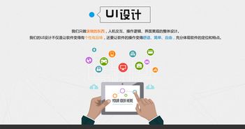 seo seo的分类