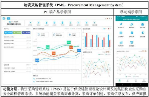 ipo定价32,29元,定制软件开发服务商,威士顿申购解读