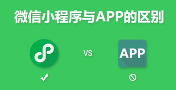 陇鲁软件 小程序和原生app之间的区别,优势分析